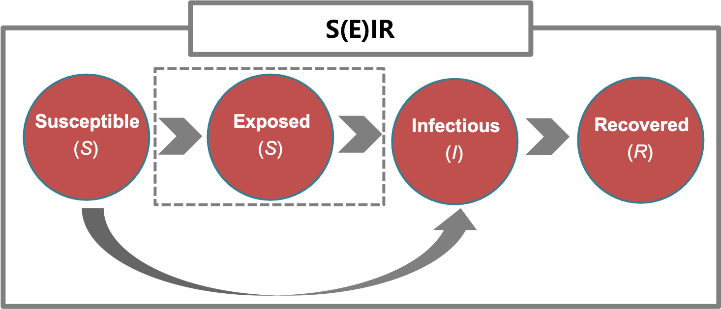 An illustration of SIR and SEIR models.