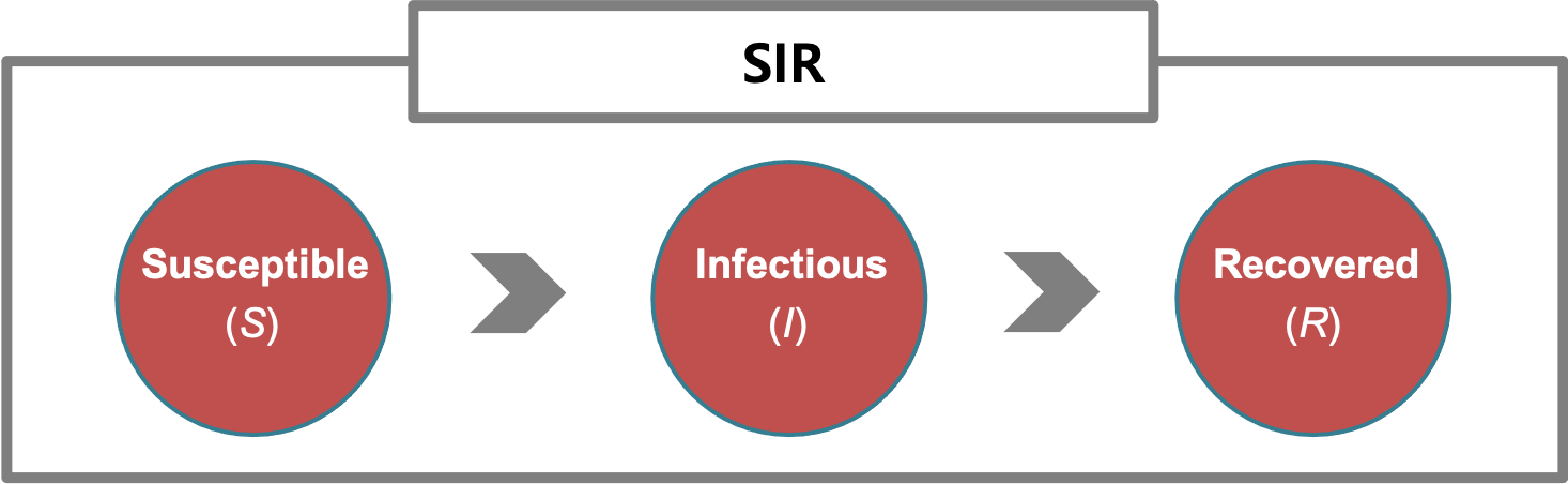 An SIR model.