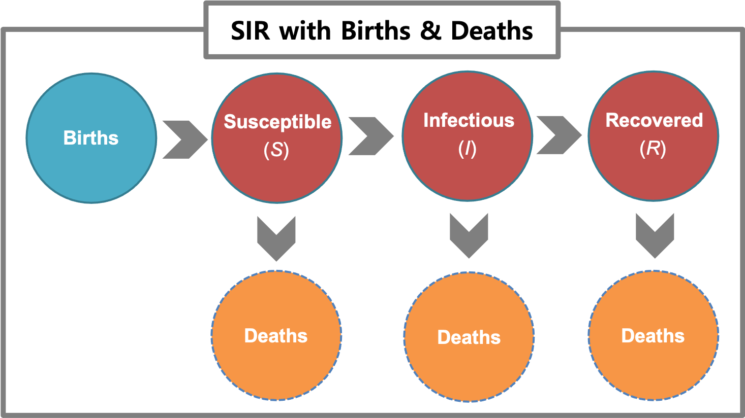 An SIR model with birth and death.