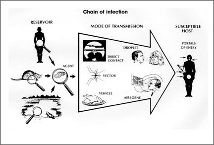 Chain of infection. Source: Centers for Disease Control and Prevention [@dicker1992principles].